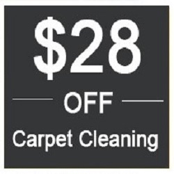 Best Carpet Cleaning service