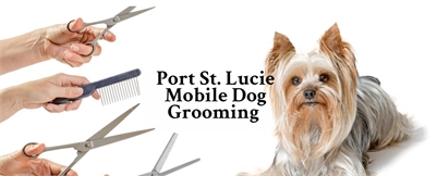 Port St. Lucie Mobile Dog Grooming