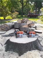 Swell Emergency Tree Removal Service