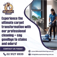 365 Carpet Cleaning | Carpet Cleaners Sydney carpet cleaner