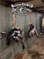 Reelfoot Lake Duck Hunting Guide Reelfoot Lake  Duck Hunting Guide